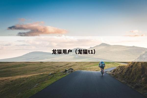 龙猫用户（龙猫t1）