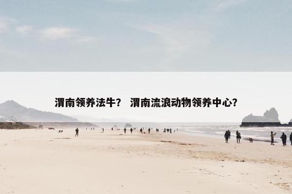 渭南领养法牛？ 渭南流浪动物领养中心？