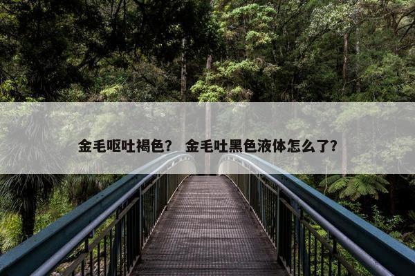 金毛呕吐褐色？ 金毛吐黑色液体怎么了？