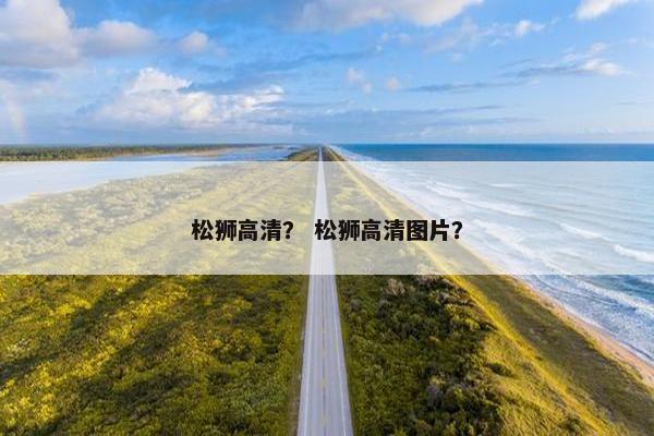 松狮高清？ 松狮高清图片？