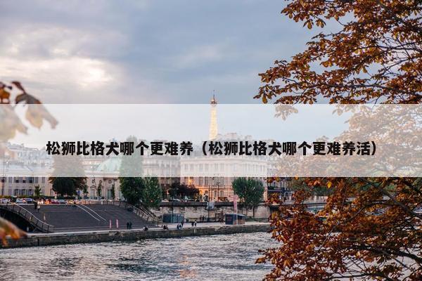松狮比格犬哪个更难养（松狮比格犬哪个更难养活）