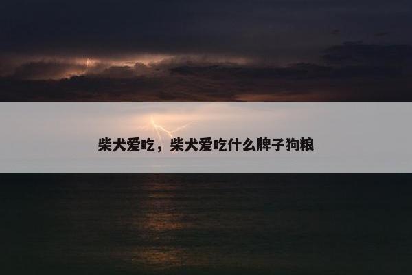柴犬爱吃，柴犬爱吃什么牌子狗粮