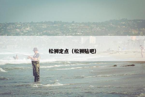 松狮定点（松狮贴吧）