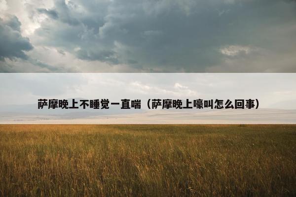 萨摩晚上不睡觉一直喘（萨摩晚上嚎叫怎么回事）