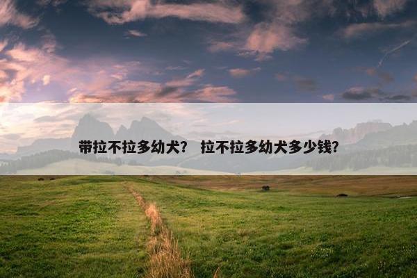 带拉不拉多幼犬？ 拉不拉多幼犬多少钱？