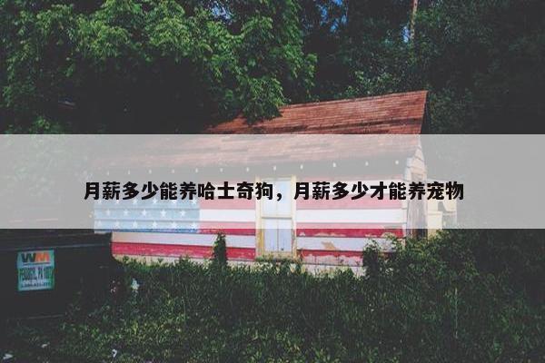 月薪多少能养哈士奇狗，月薪多少才能养宠物