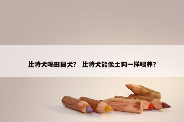 比特犬喝田园犬？ 比特犬能像土狗一样喂养？