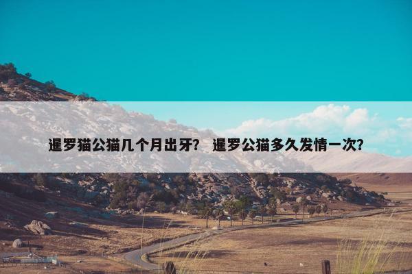 暹罗猫公猫几个月出牙？ 暹罗公猫多久发情一次？
