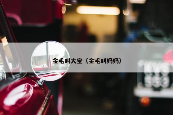 金毛叫大宝（金毛叫妈妈）