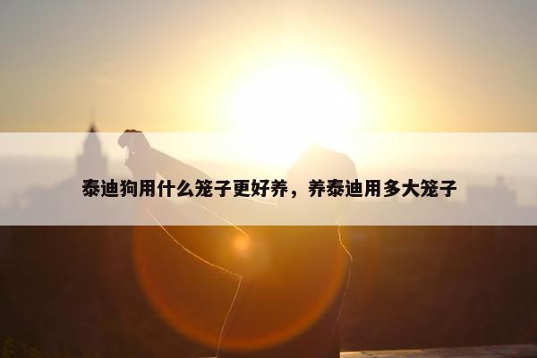 泰迪狗用什么笼子更好养，养泰迪用多大笼子