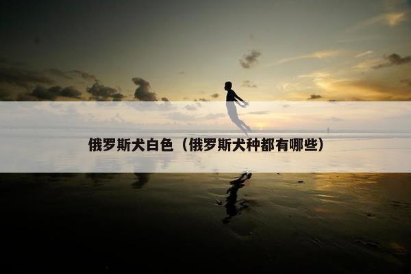 俄罗斯犬白色（俄罗斯犬种都有哪些）
