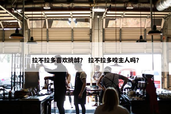 拉不拉多喜欢挑衅？ 拉不拉多咬主人吗？