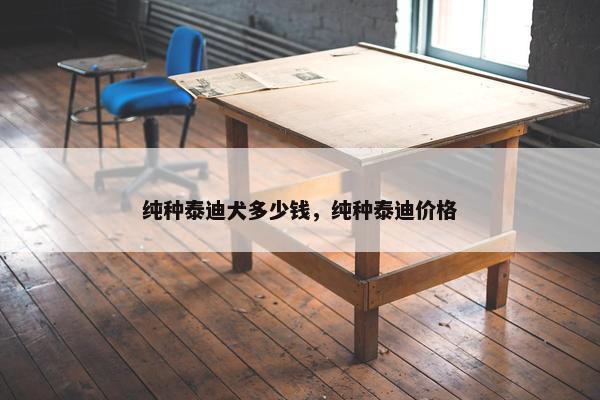 纯种泰迪犬多少钱，纯种泰迪价格