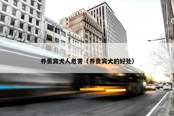 养贵宾犬人危害（养贵宾犬的好处）