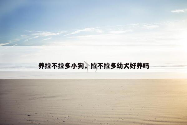 养拉不拉多小狗，拉不拉多幼犬好养吗