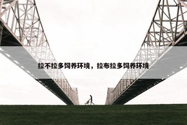 拉不拉多饲养环境，拉布拉多饲养环境