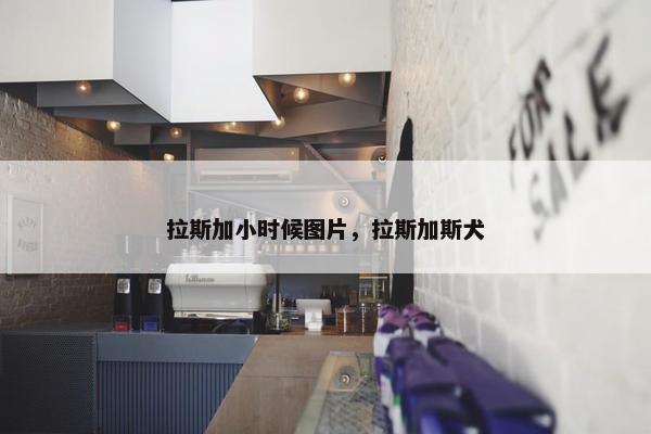 拉斯加小时候图片，拉斯加斯犬
