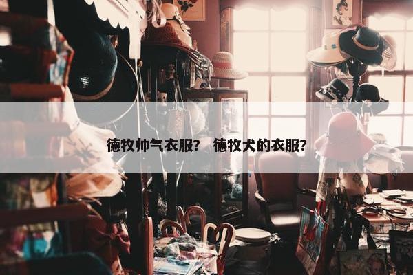 德牧帅气衣服？ 德牧犬的衣服？
