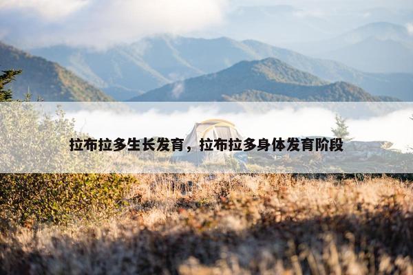拉布拉多生长发育，拉布拉多身体发育阶段