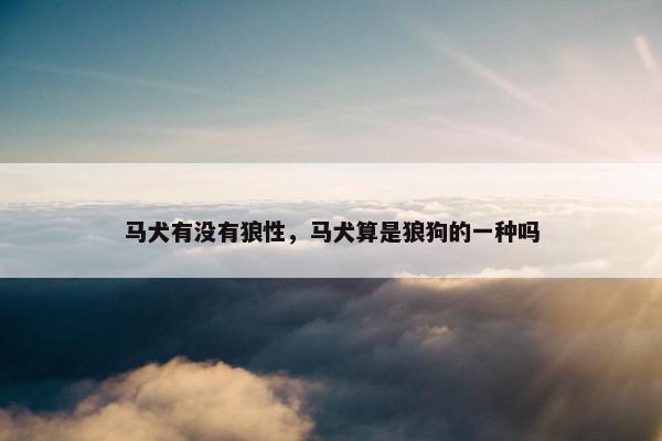 马犬有没有狼性，马犬算是狼狗的一种吗