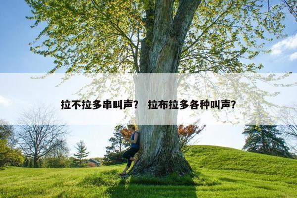 拉不拉多串叫声？ 拉布拉多各种叫声？