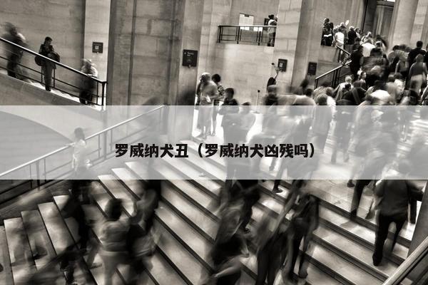 罗威纳犬丑（罗威纳犬凶残吗）