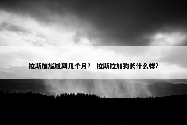 拉斯加尴尬期几个月？ 拉斯拉加狗长什么样？