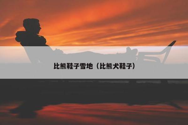 比熊鞋子雪地（比熊犬鞋子）
