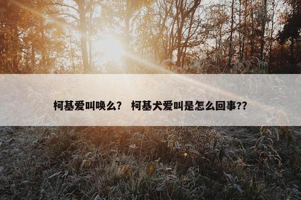 柯基爱叫唤么？ 柯基犬爱叫是怎么回事?？