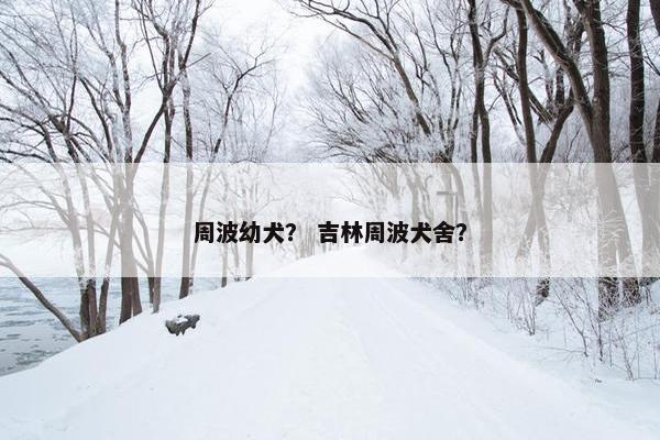 周波幼犬？ 吉林周波犬舍？