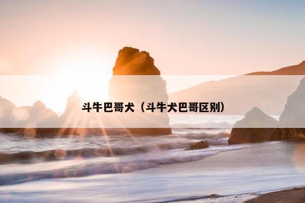 斗牛巴哥犬（斗牛犬巴哥区别）