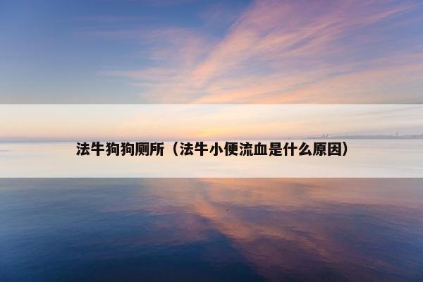法牛狗狗厕所（法牛小便流血是什么原因）