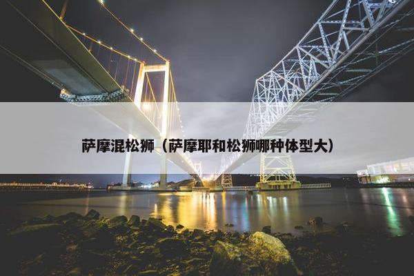 萨摩混松狮（萨摩耶和松狮哪种体型大）