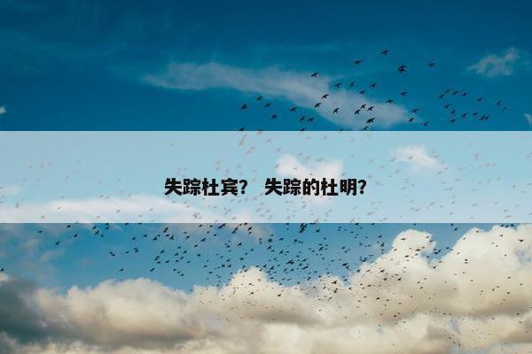 失踪杜宾？ 失踪的杜明？