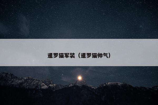 暹罗猫军装（暹罗猫帅气）