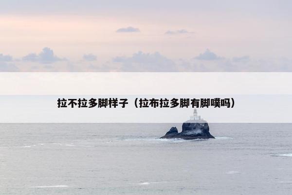 拉不拉多脚样子（拉布拉多脚有脚噗吗）