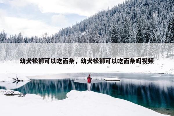 幼犬松狮可以吃面条，幼犬松狮可以吃面条吗视频