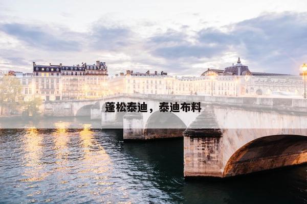 蓬松泰迪，泰迪布料