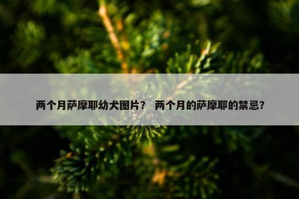 两个月萨摩耶幼犬图片？ 两个月的萨摩耶的禁忌？