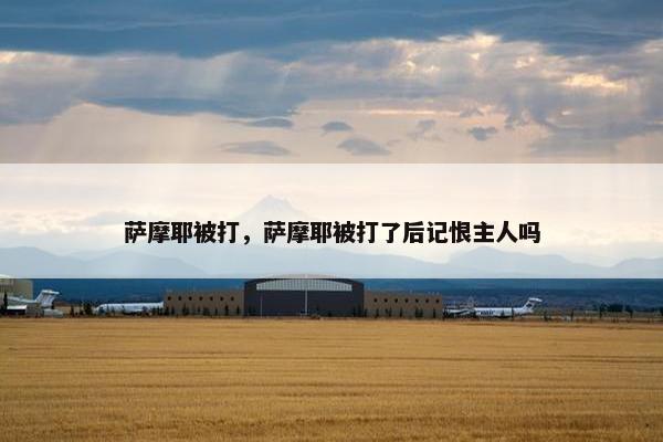 萨摩耶被打，萨摩耶被打了后记恨主人吗