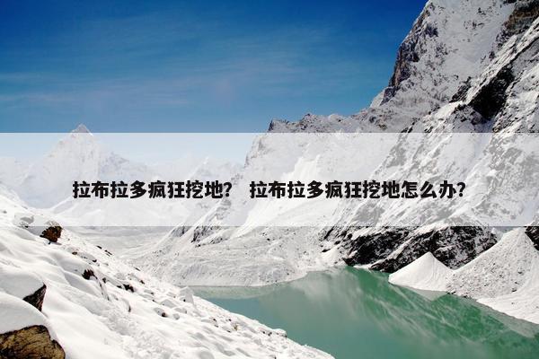 拉布拉多疯狂挖地？ 拉布拉多疯狂挖地怎么办？