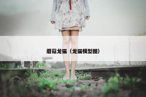蘑菇龙猫（龙猫模型图）