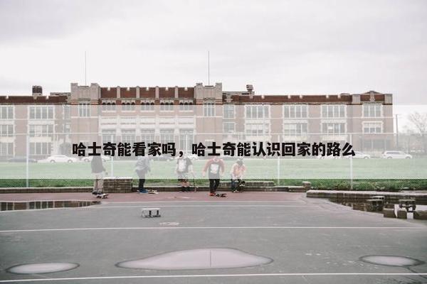 哈士奇能看家吗，哈士奇能认识回家的路么