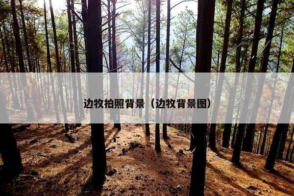 边牧拍照背景（边牧背景图）