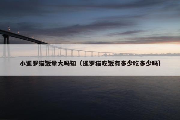 小暹罗猫饭量大吗知（暹罗猫吃饭有多少吃多少吗）