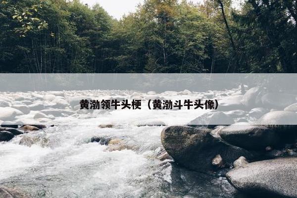 黄渤领牛头梗（黄渤斗牛头像）