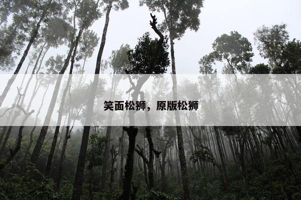 笑面松狮，原版松狮