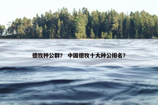 德牧种公群？ 中国德牧十大种公排名？