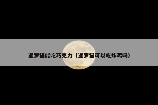 暹罗猫能吃巧克力（暹罗猫可以吃炸鸡吗）