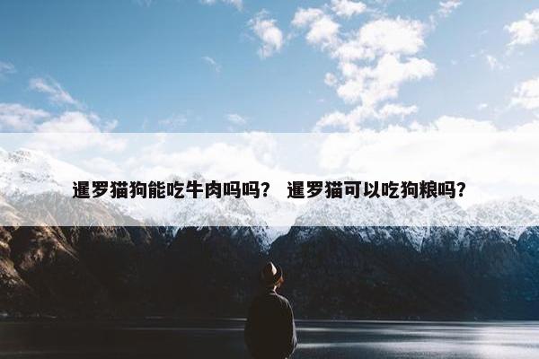 暹罗猫狗能吃牛肉吗吗？ 暹罗猫可以吃狗粮吗？
